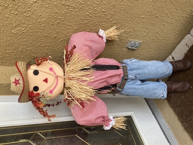Scarecrow head