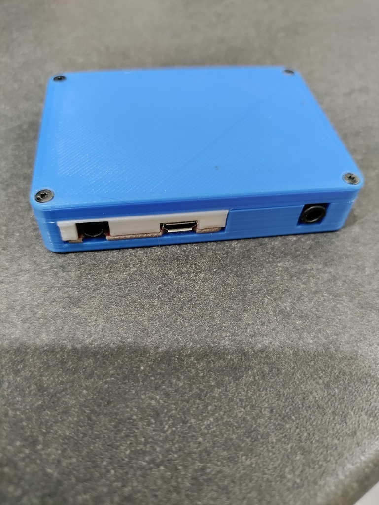 Case for bluetooth- and amp modules