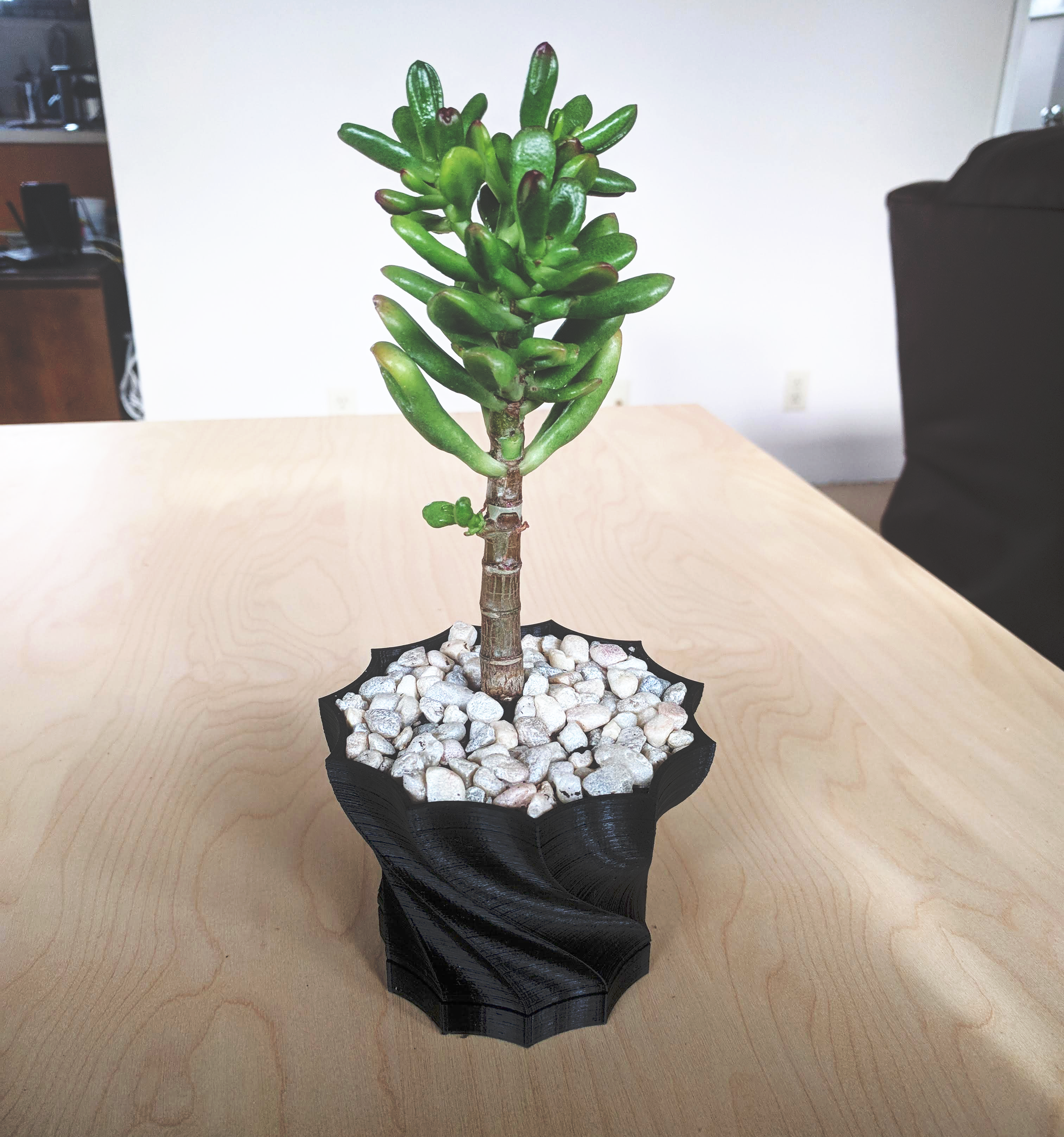 Twisted Succulent Planter