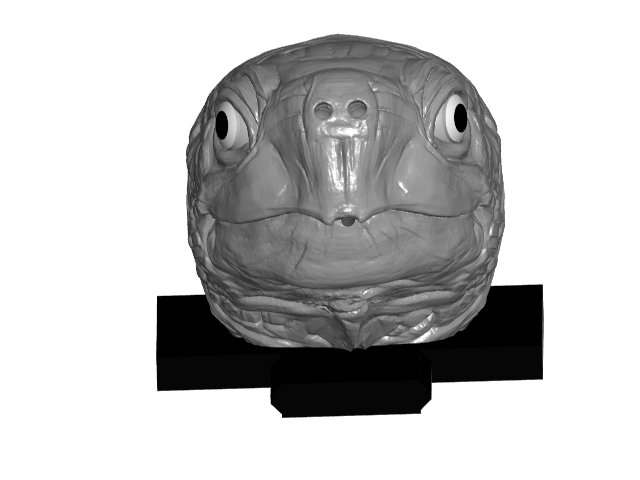 Turtle Head Incense Burner (Interchangeable)