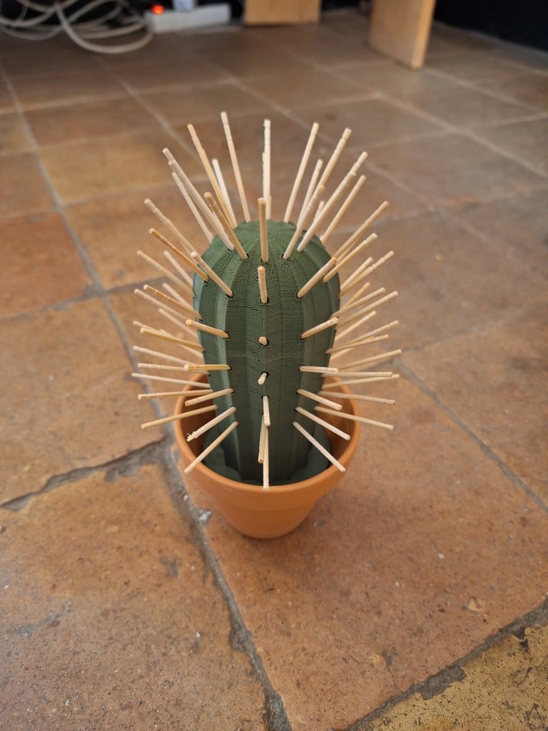 En kaktus vars taggar är tandpetare