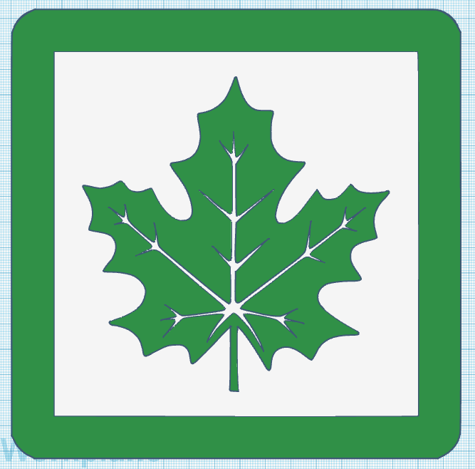 Maple leaf sign novice driver / Klevo lapas