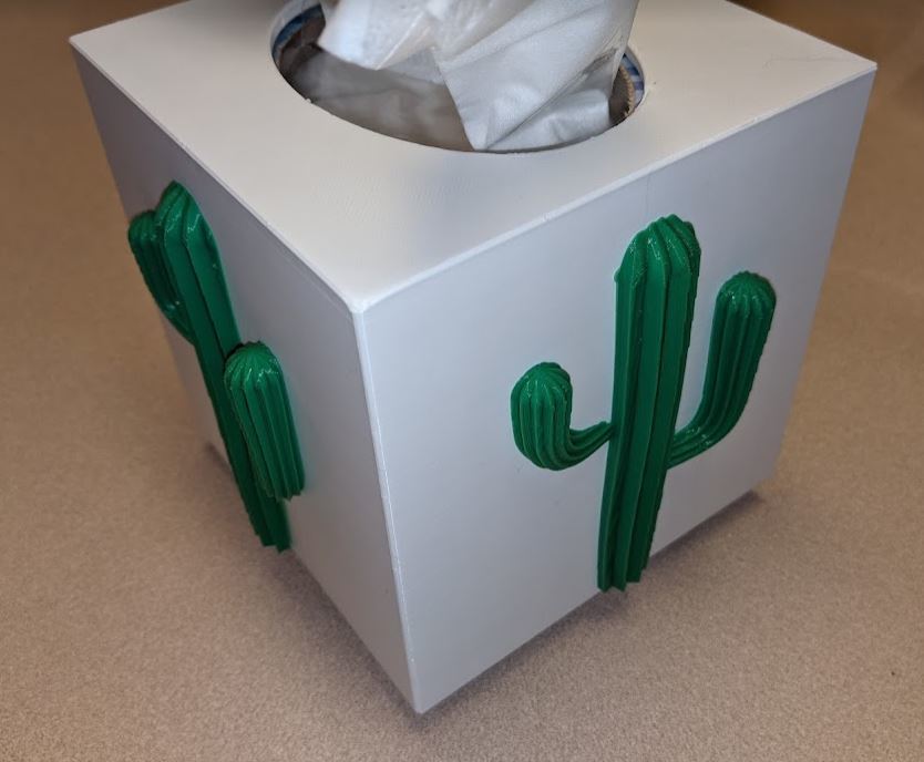 Cactus Tissue Box Holder