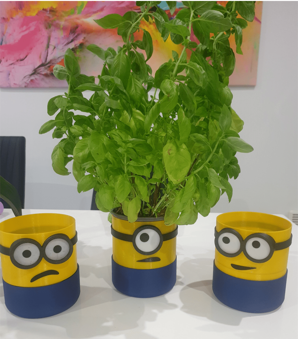 Minions Self watering planter