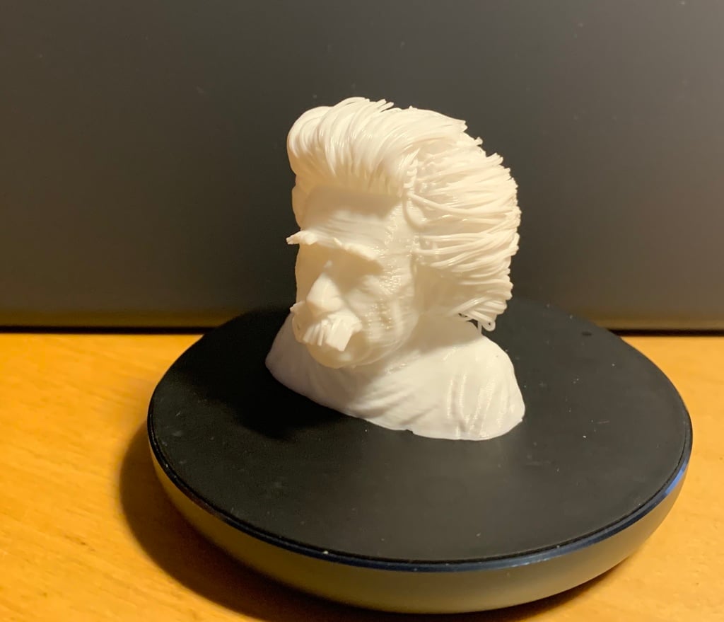 Hairy Albert Einstein Bust