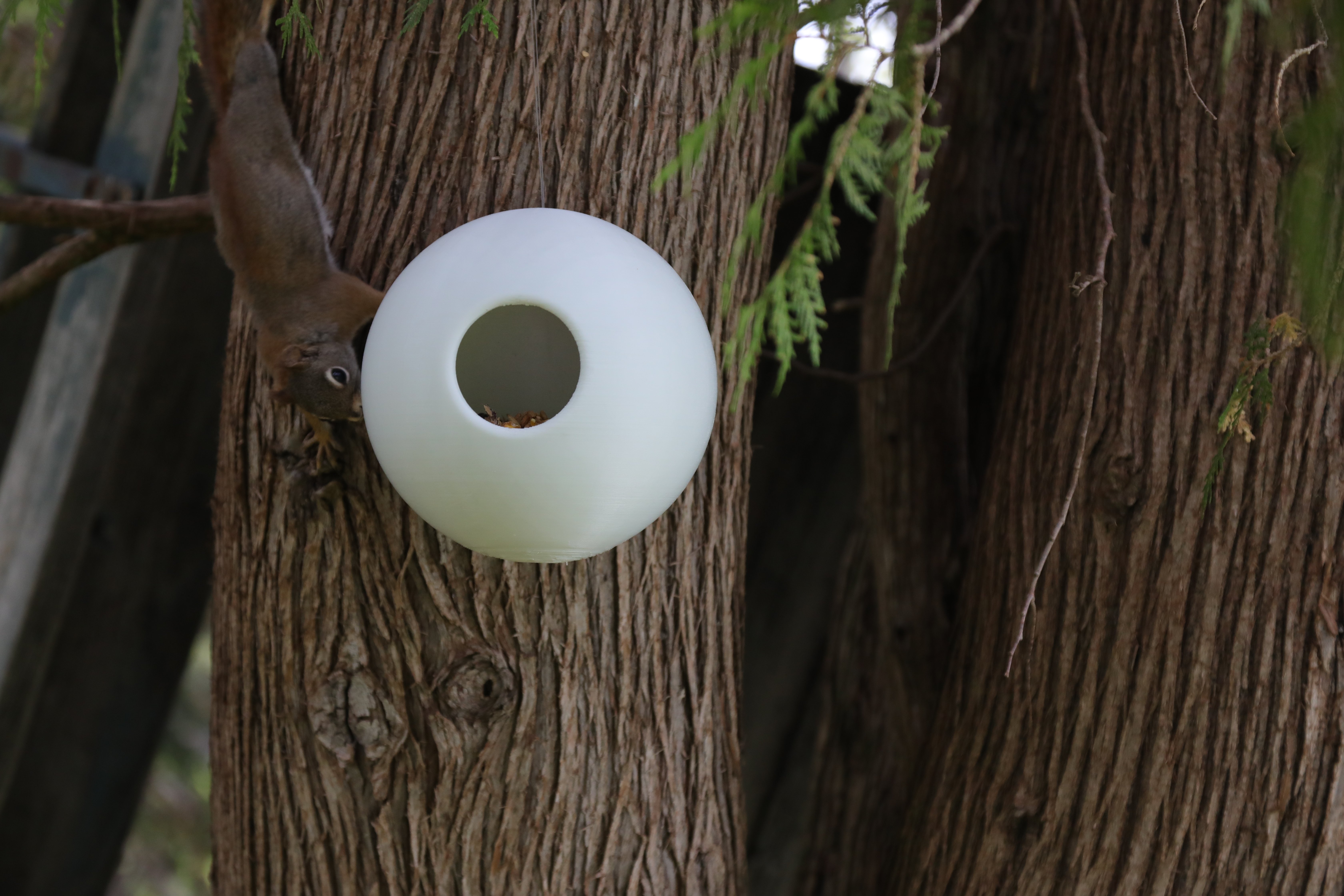 SPHERICAL Bird feeder