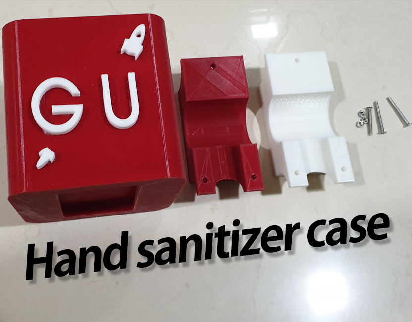 Hand sanitizer case