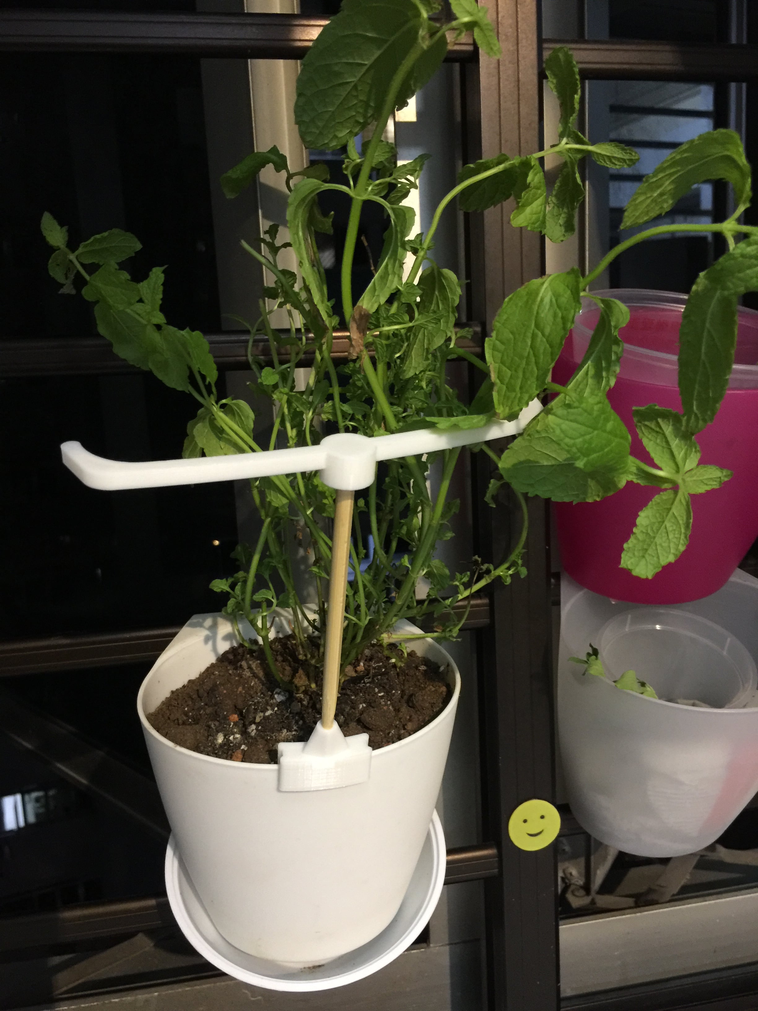 Plant Support - IKEA Bygel container hack