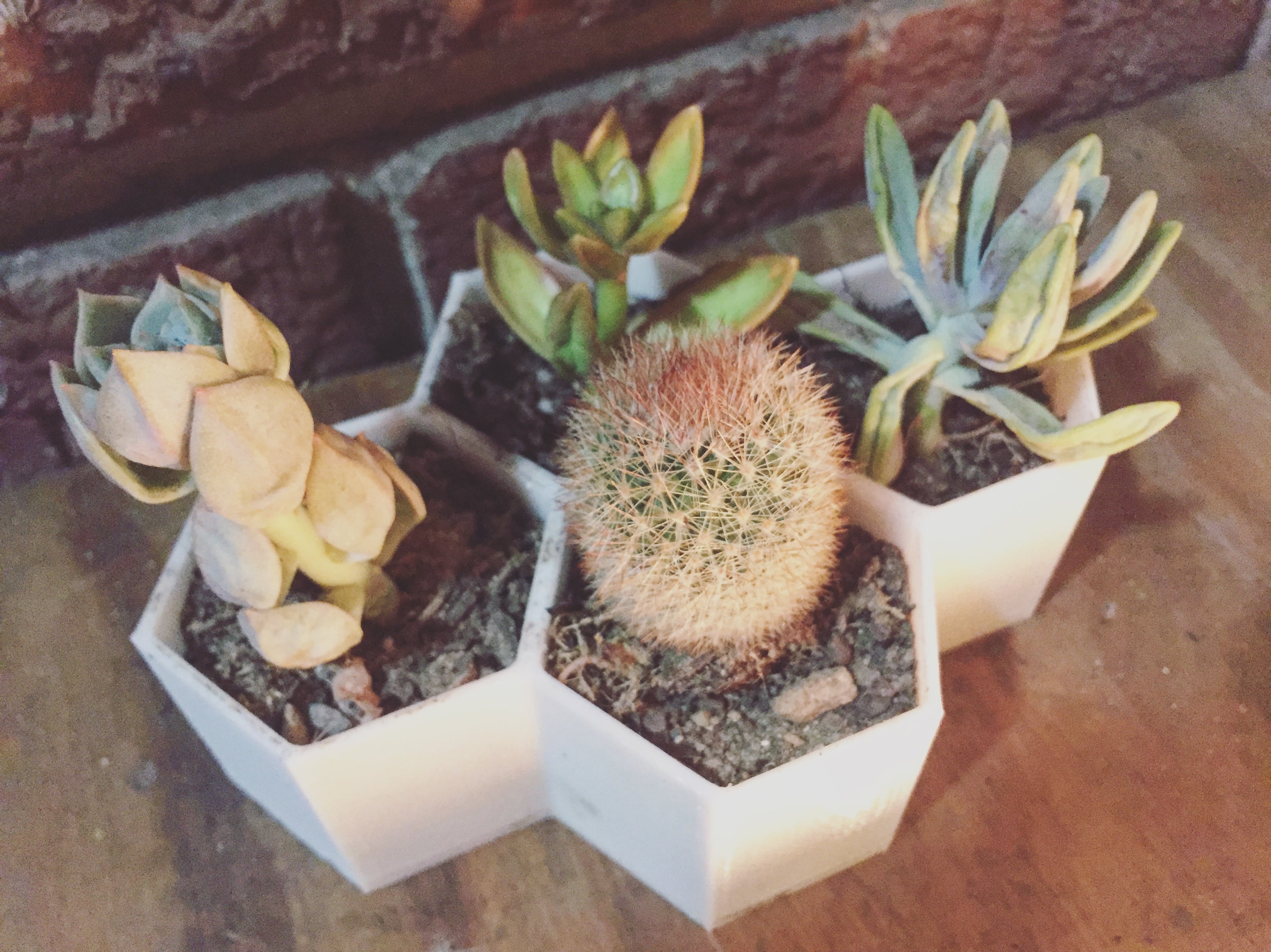 Planter V6 - Honeycomb
