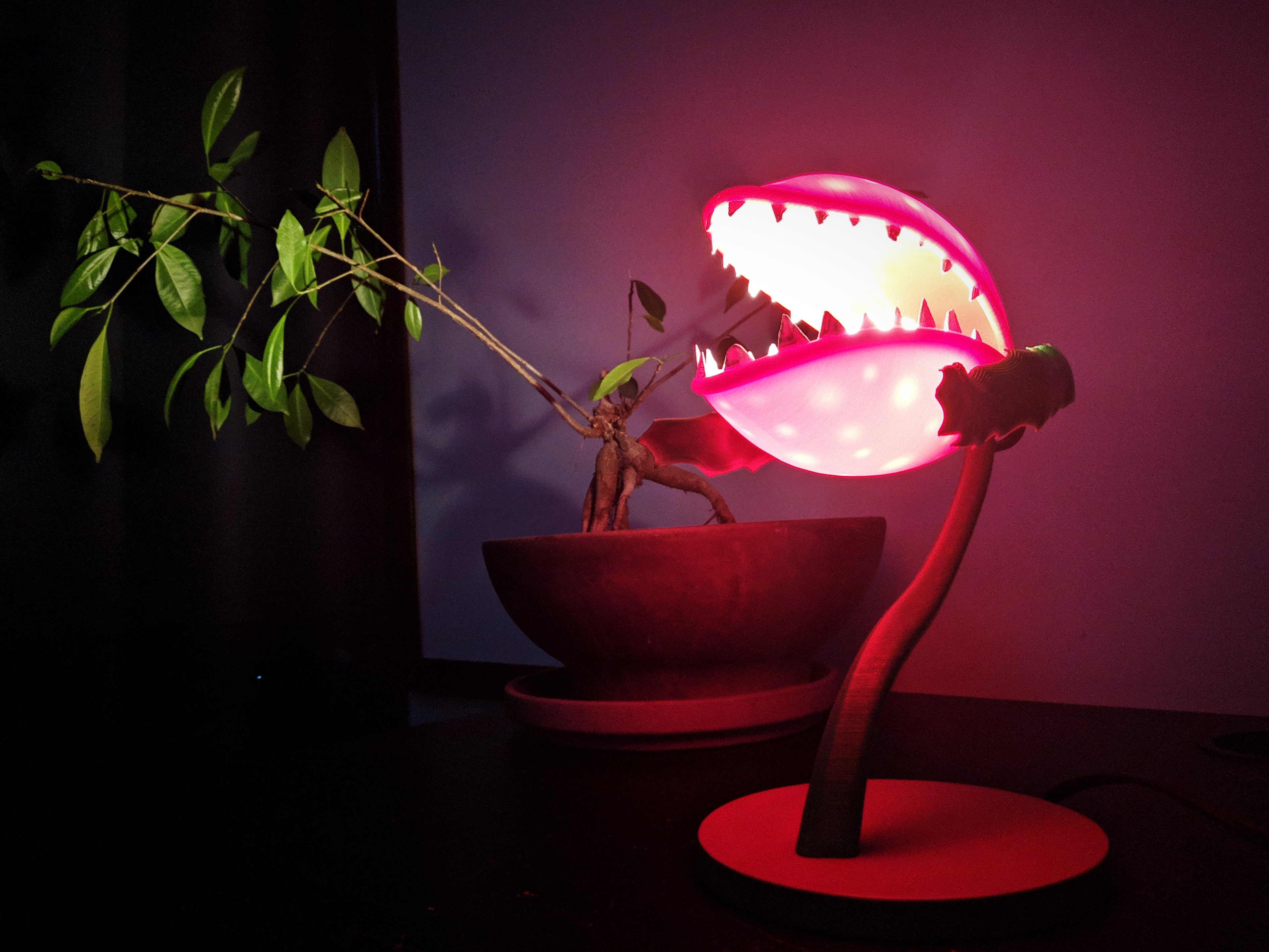 Spitter Plant Lamp