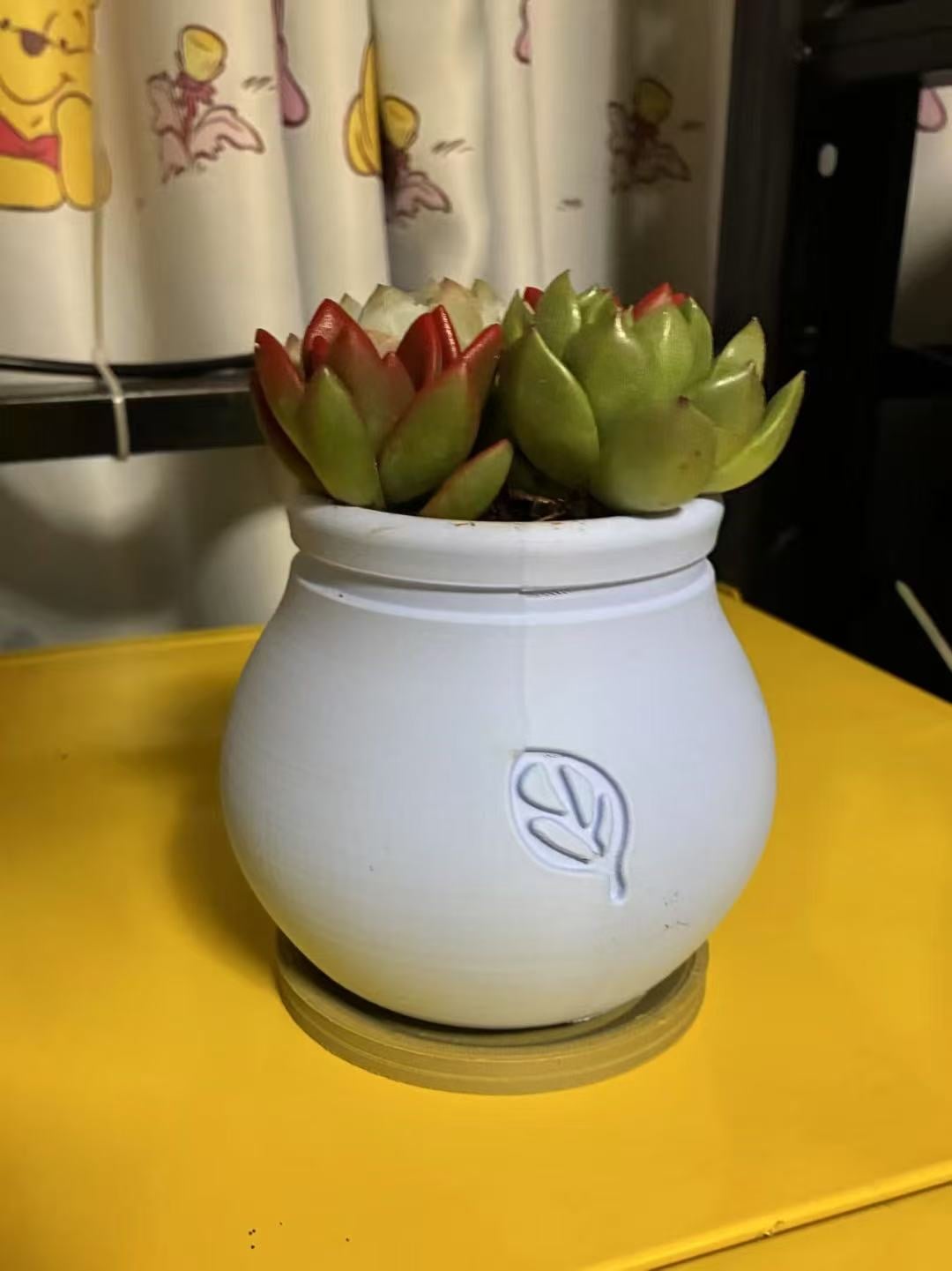 LeafPod – Smooth Finish Succulent Planter 极简圆润多肉花盆