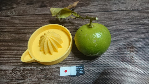 Small citrus squeezer