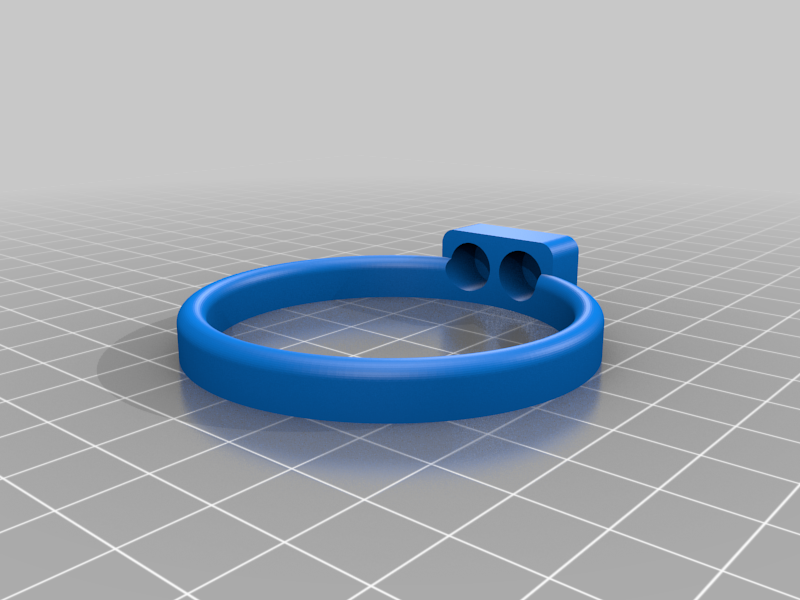 FR2 Fish Feeding Ring 2