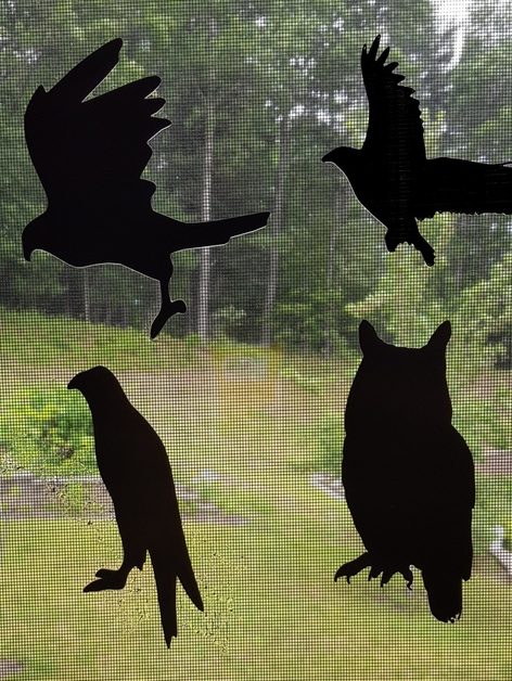 Bird Decals for Bird Safety