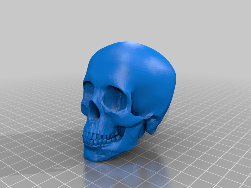 human skull staff topper