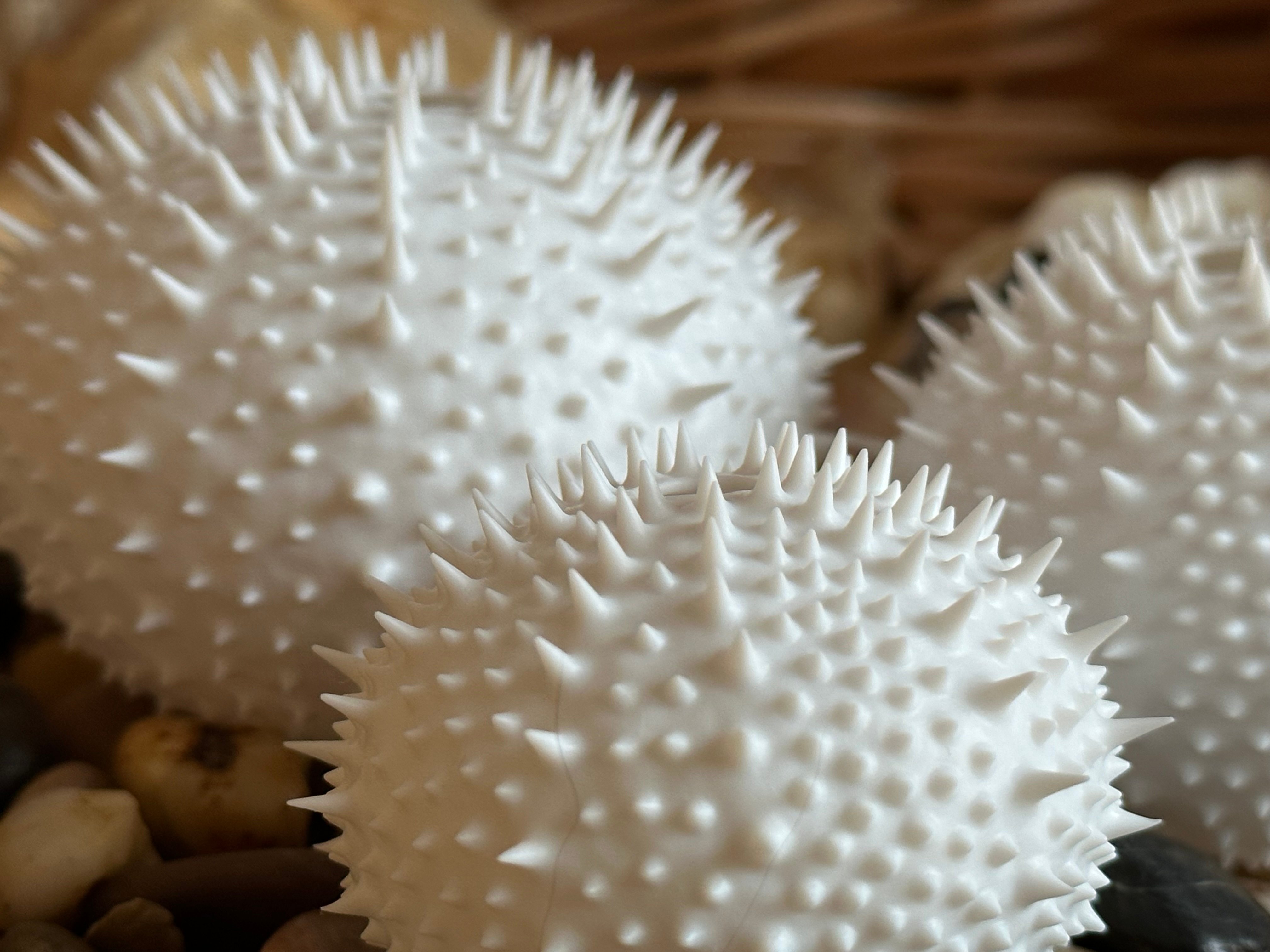 Sea Urchin Shell (Spiky)