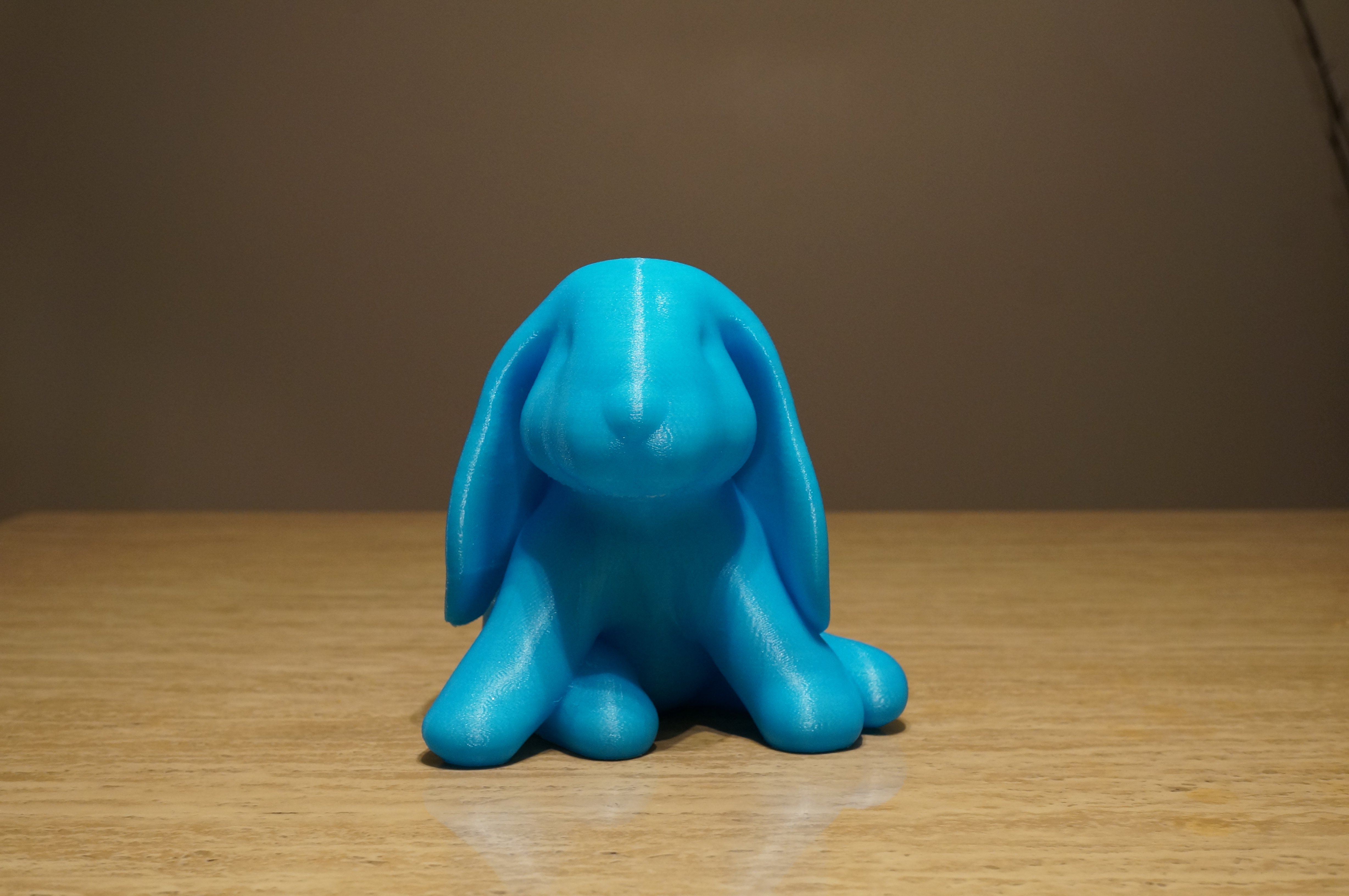 Ducky The Lop Eared Bunny