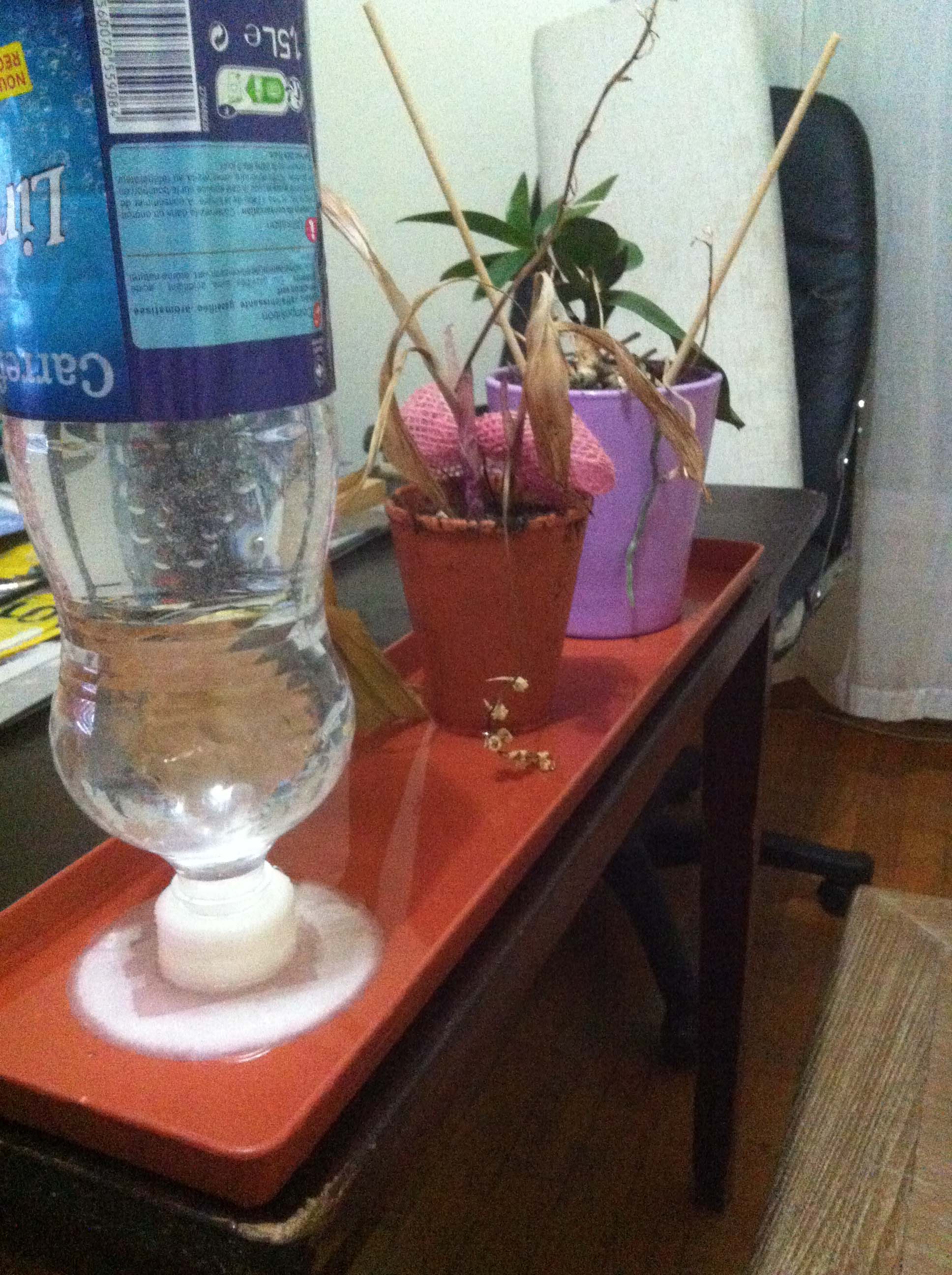 water distribution for plant