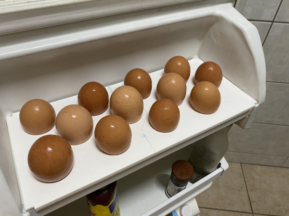 Egg Tray of Ｒefrigerator