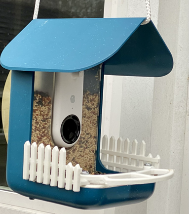 Bird Buddy Picket Fence