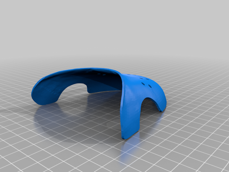 Sneaker Protector