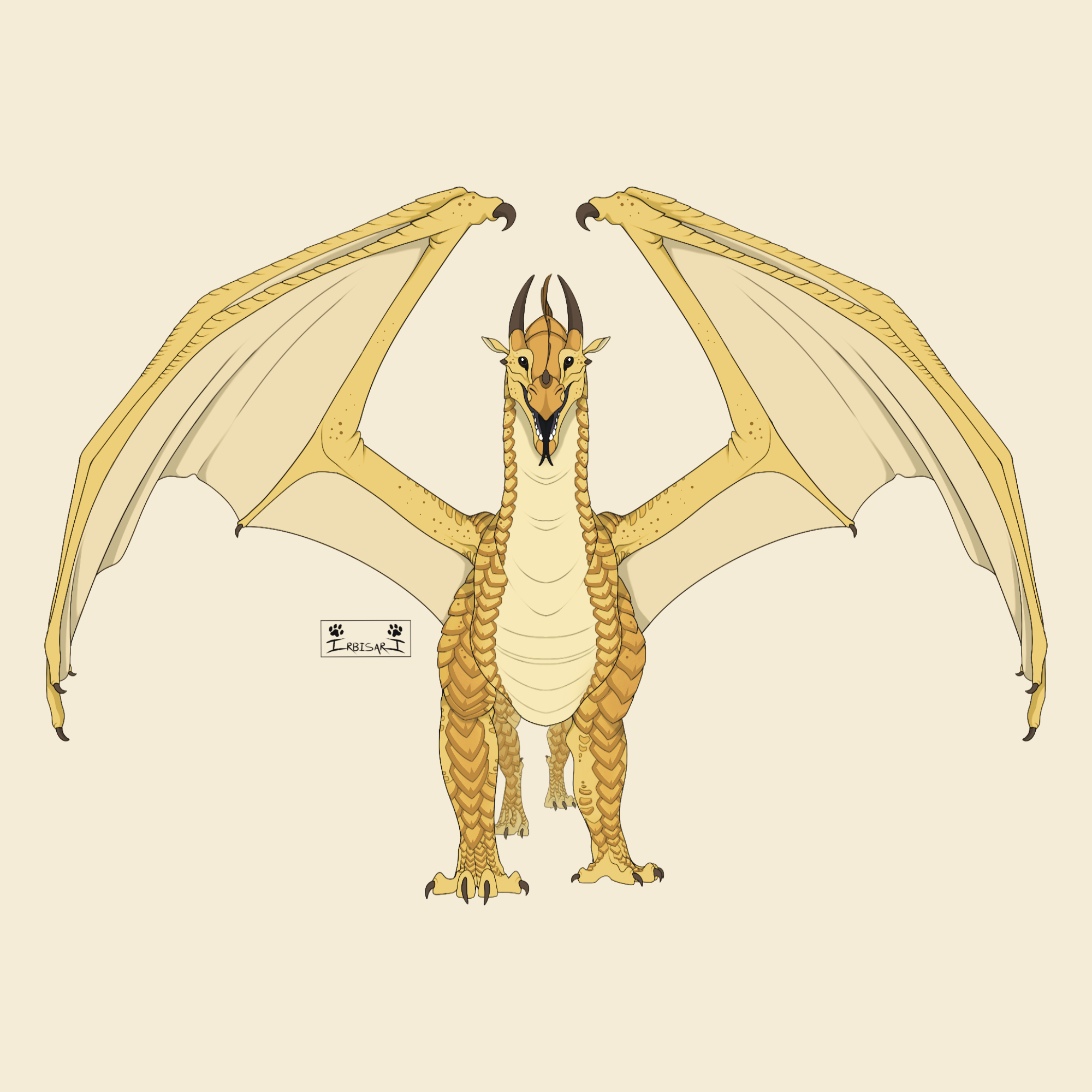 TheCuriousDragon