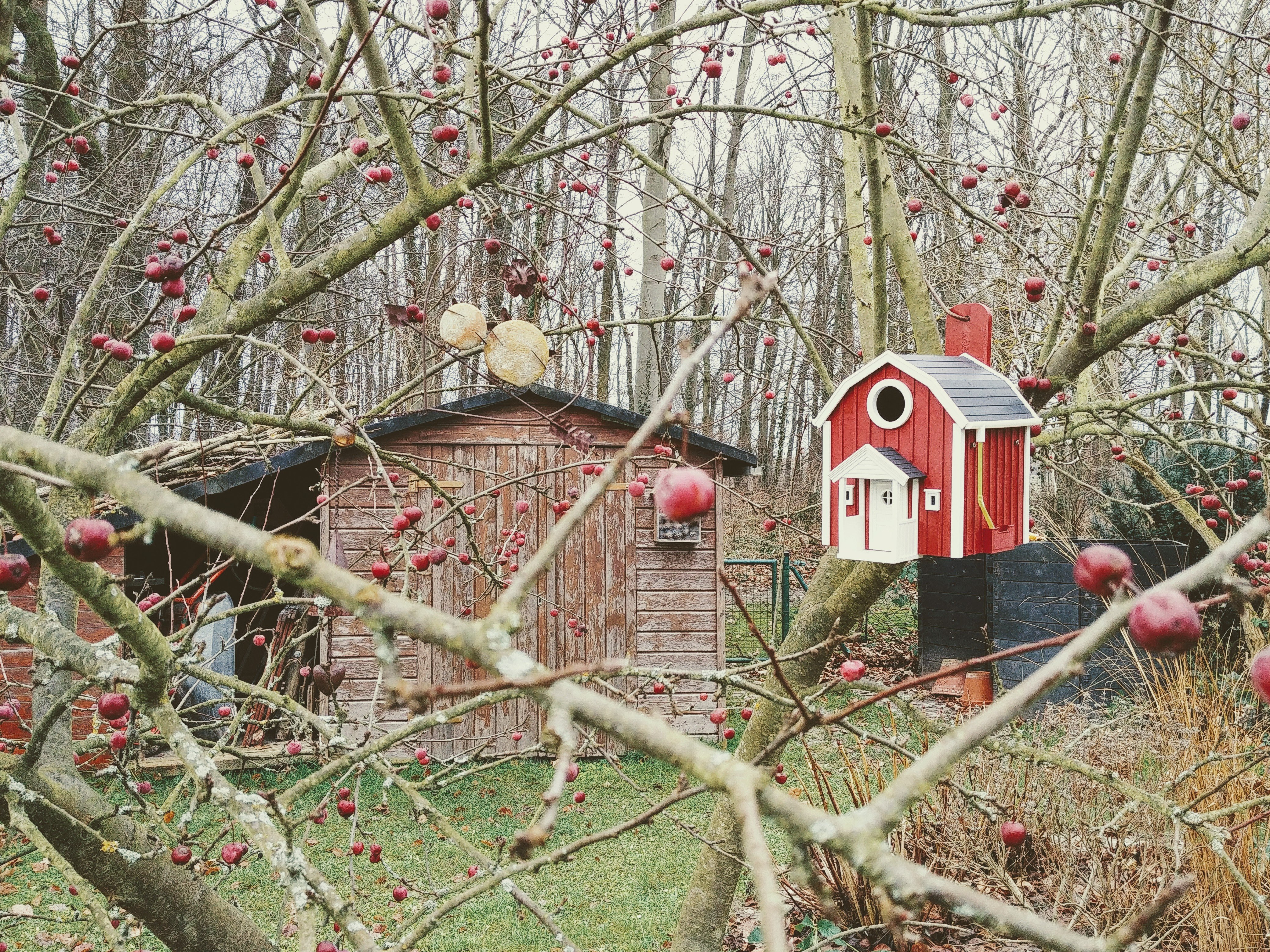 SWEDISH BIRD HOUSE
