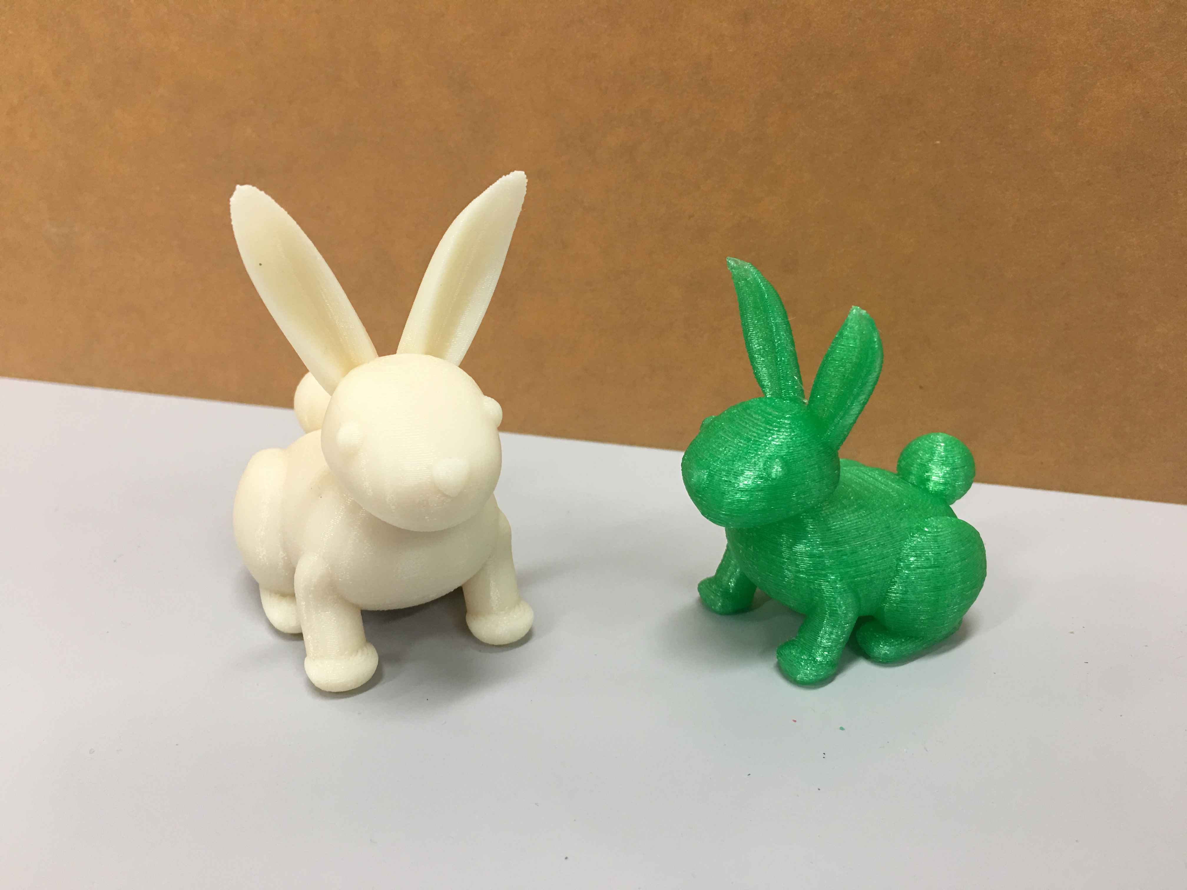 Bunny rabbit