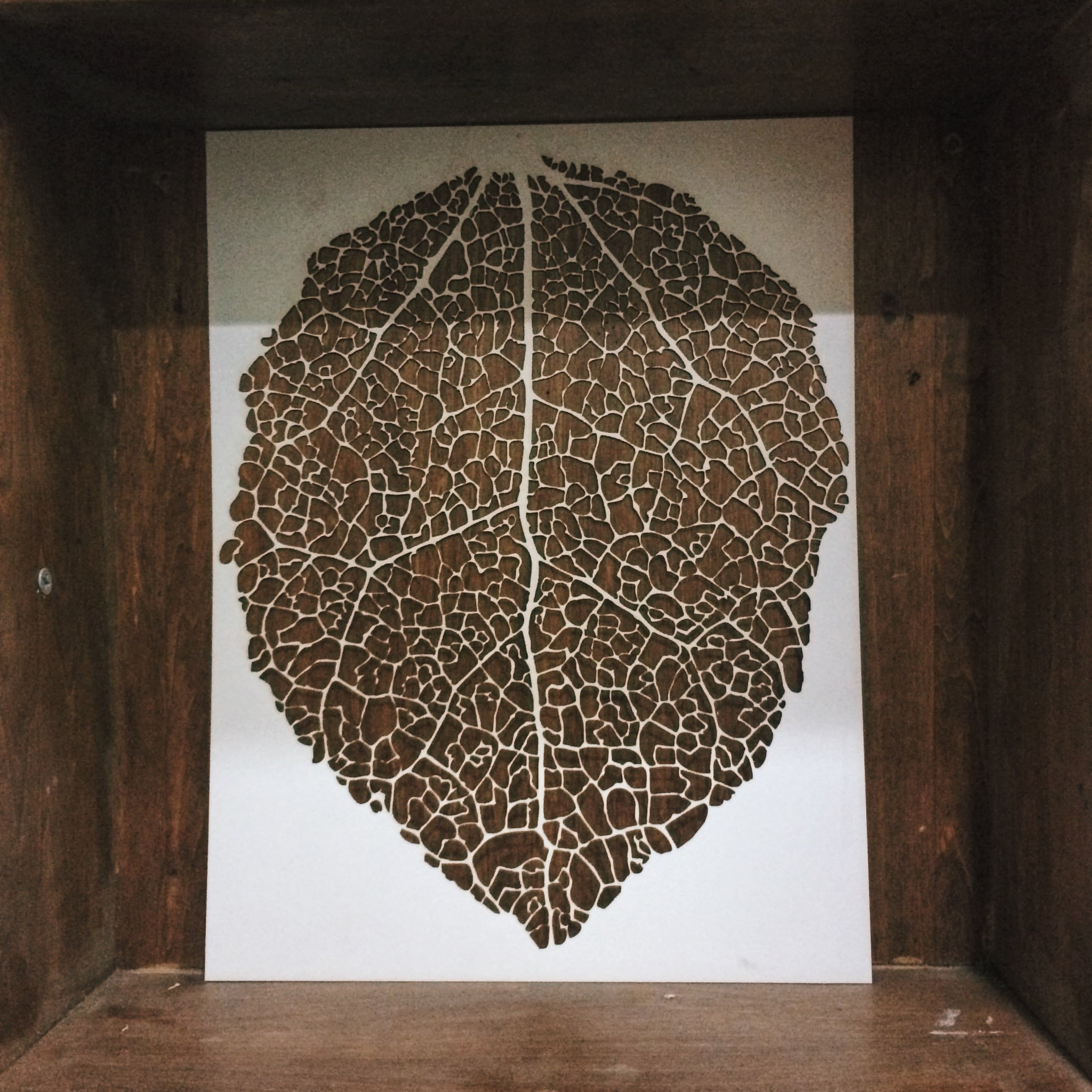 Aspen Leaf