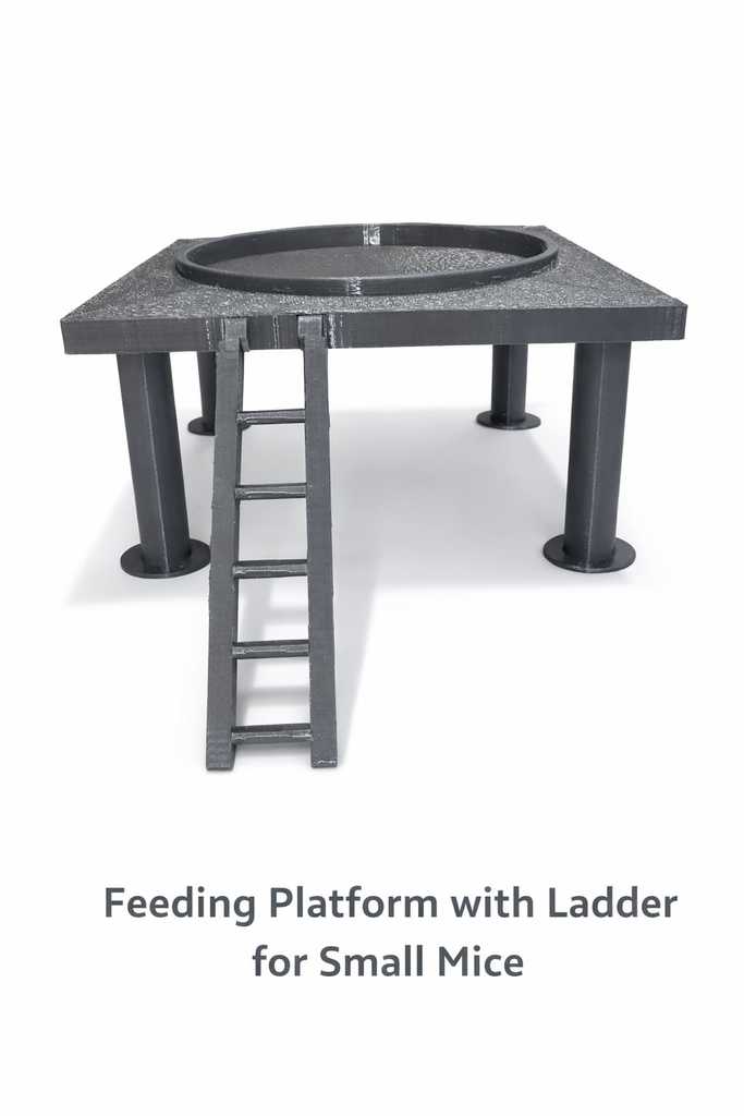 Mouse Feeding Platform with ladder / Maus Futterpodest mit leiter