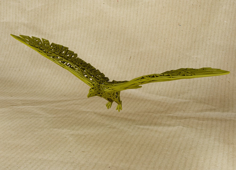 eagle decor lines