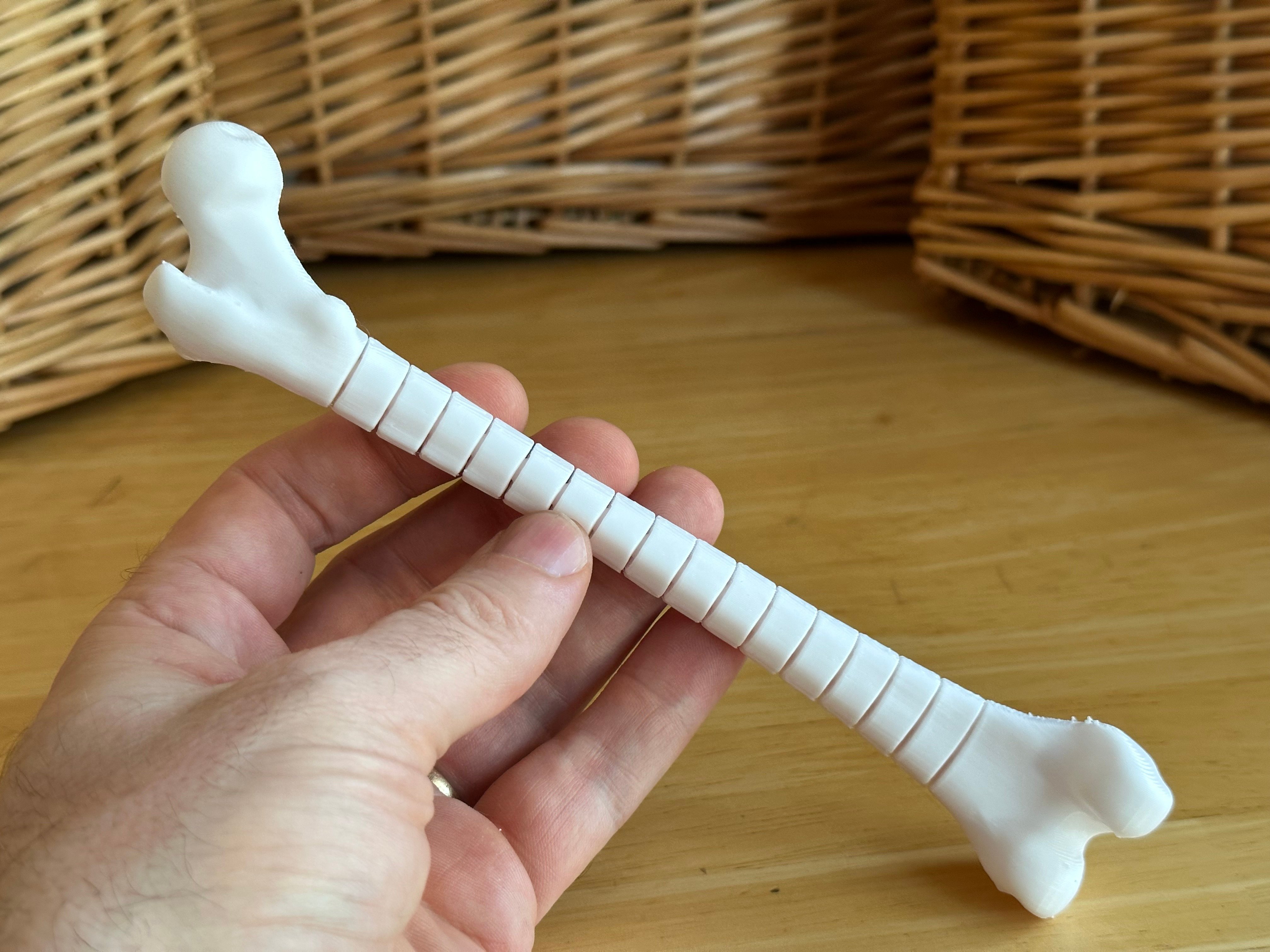 Fidget Femur