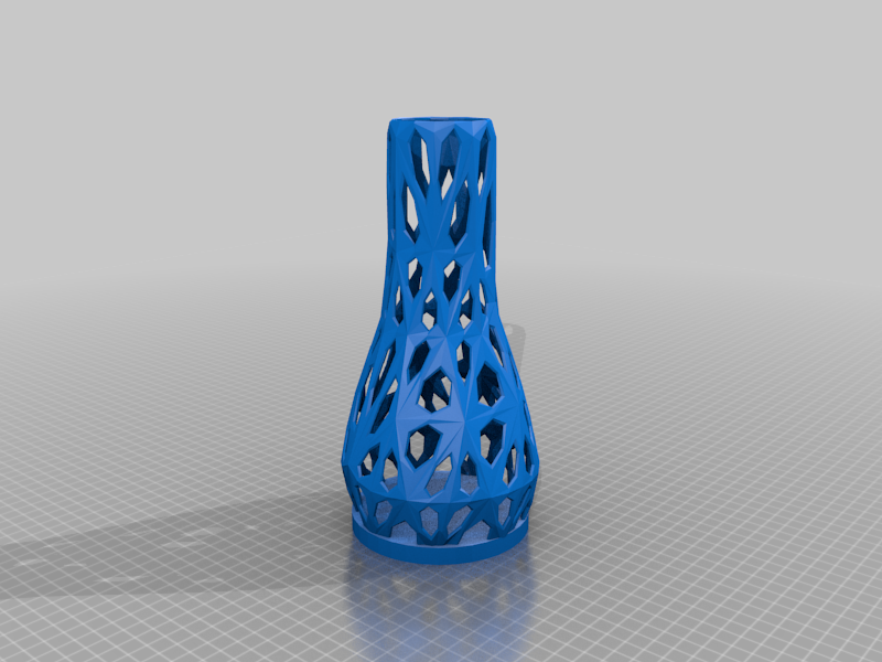 Wireframe Vase for led's