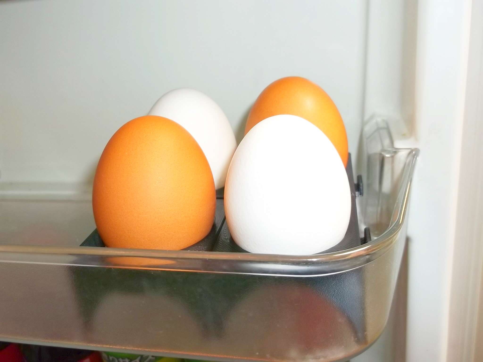 Best Egg Tray Ver2