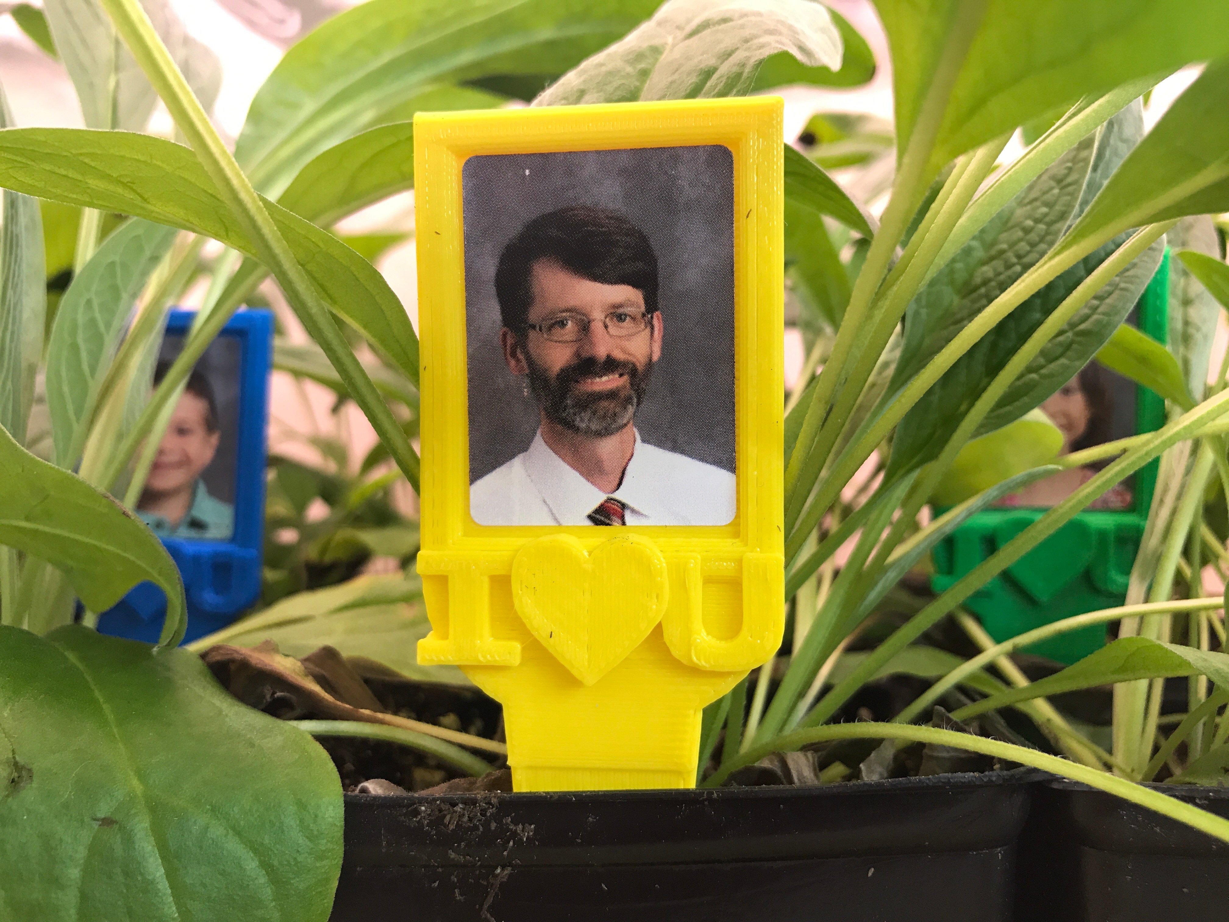 Picture Frame Plant Stake