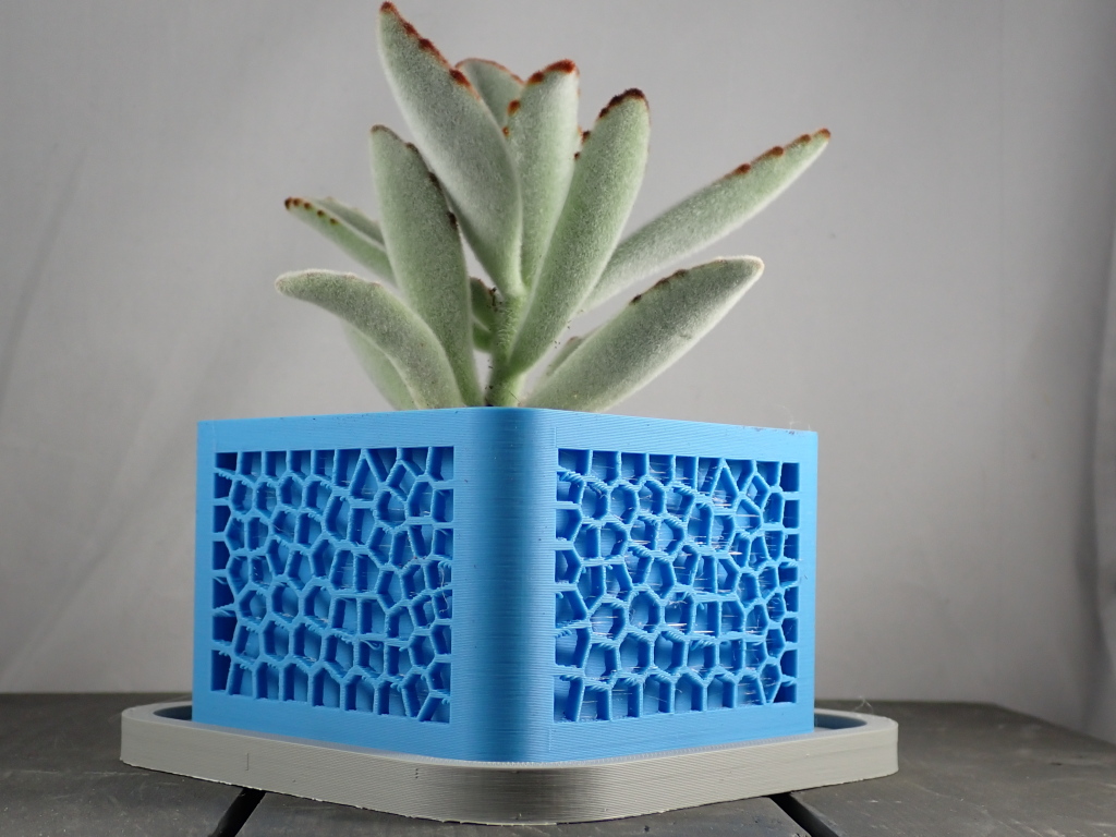 Voronoi Planter