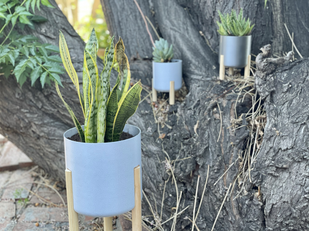 Large & Mini Succulent Planter