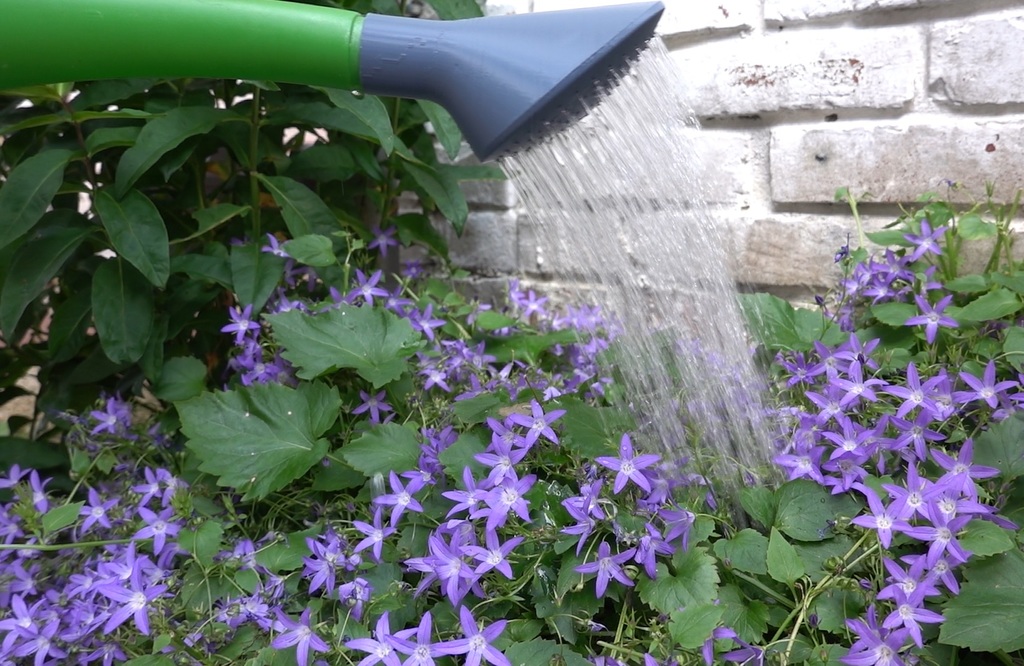 Nozzle for Watering Can