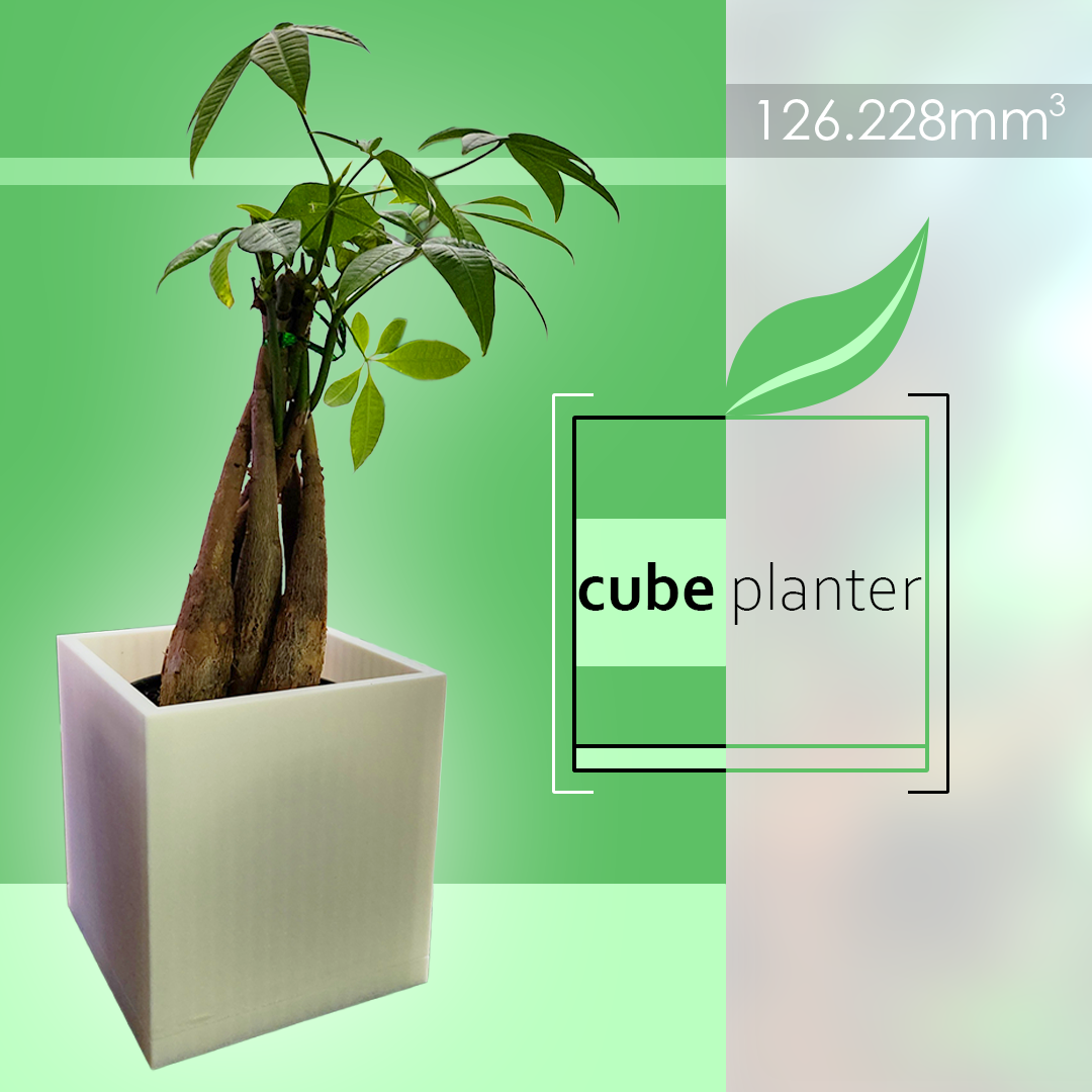 Cube Planter