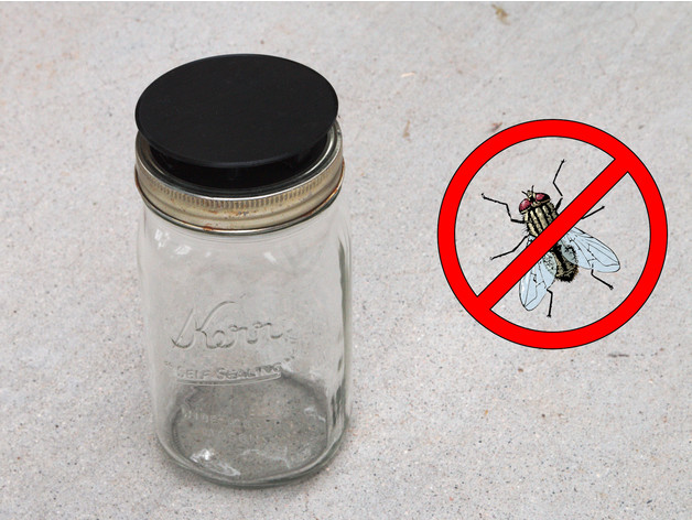 mason jar fly trap