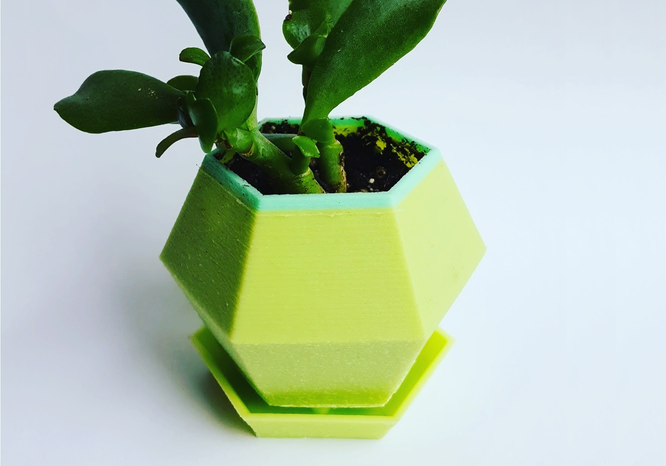 Hexagon Succulent Planter Water Tray