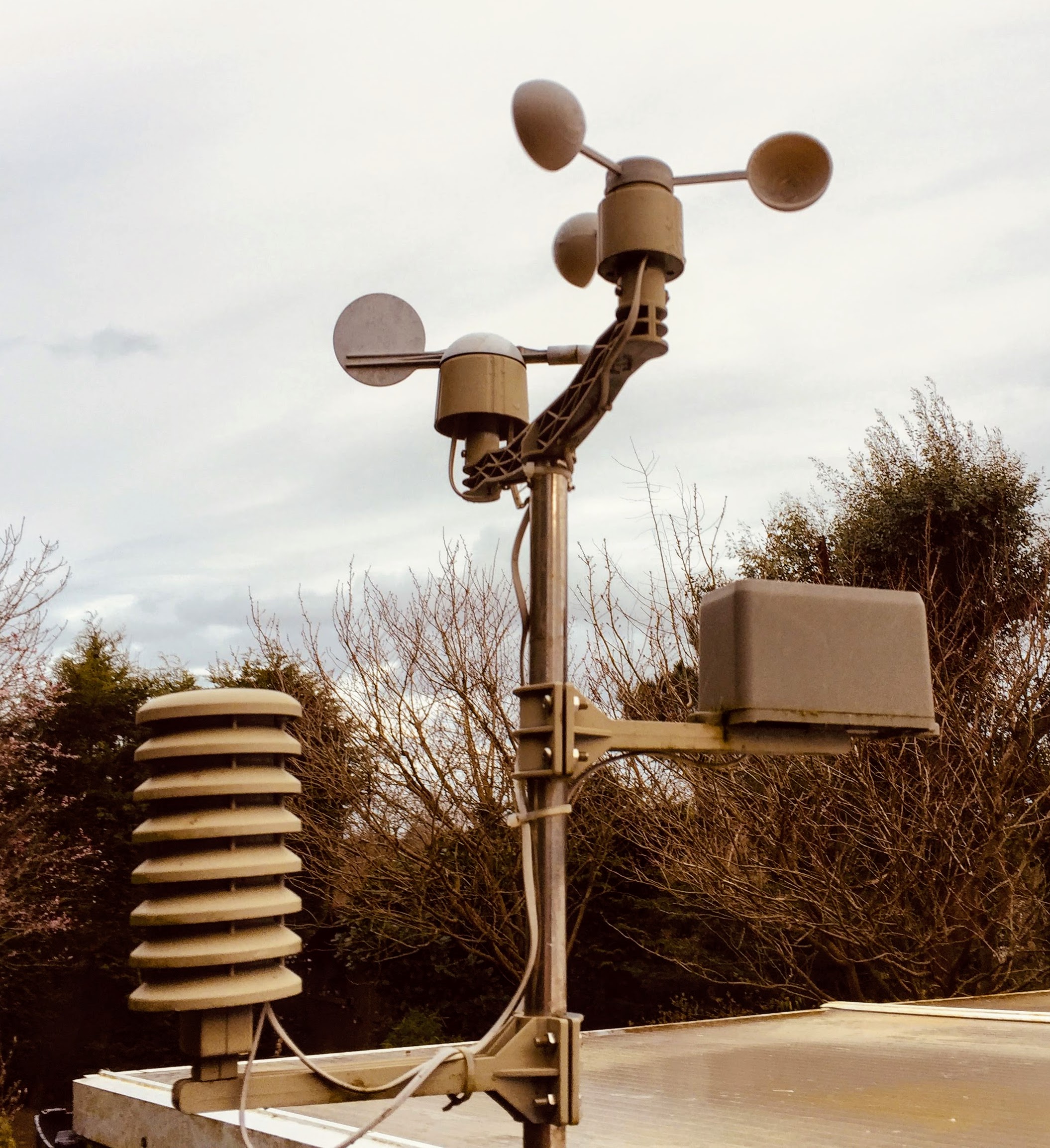 Anemometer Cups