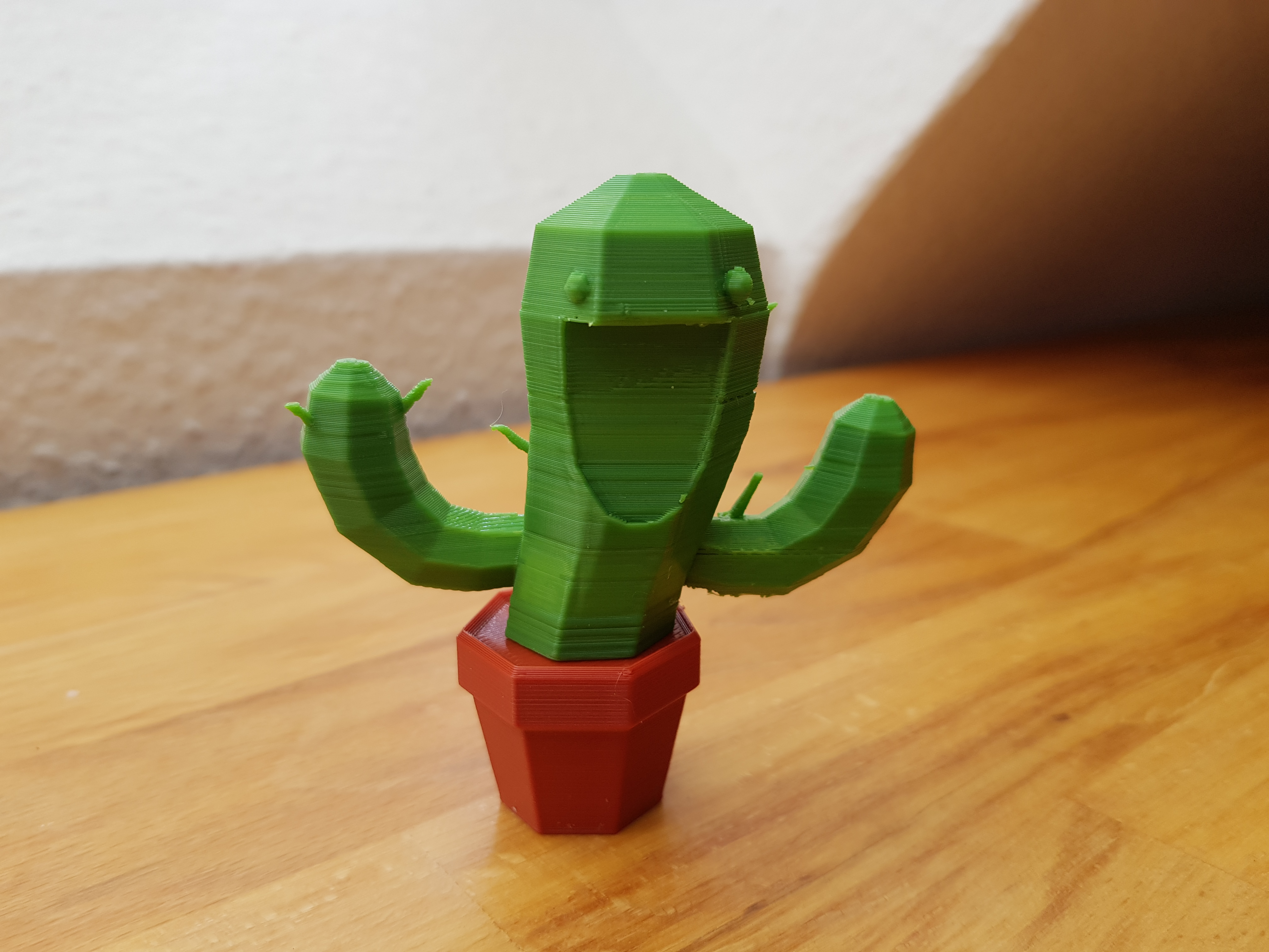 Smiling cactus