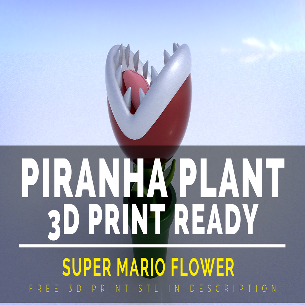 Super Mario Flower 
