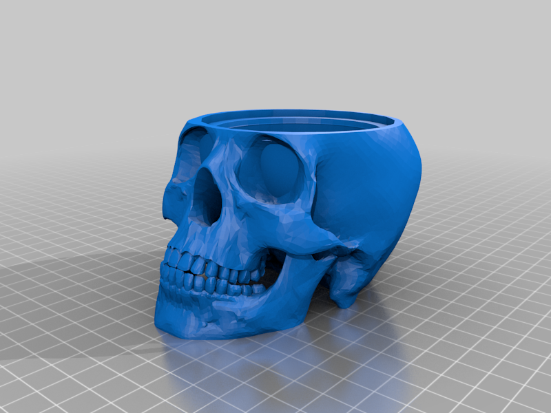Skull with lid on top