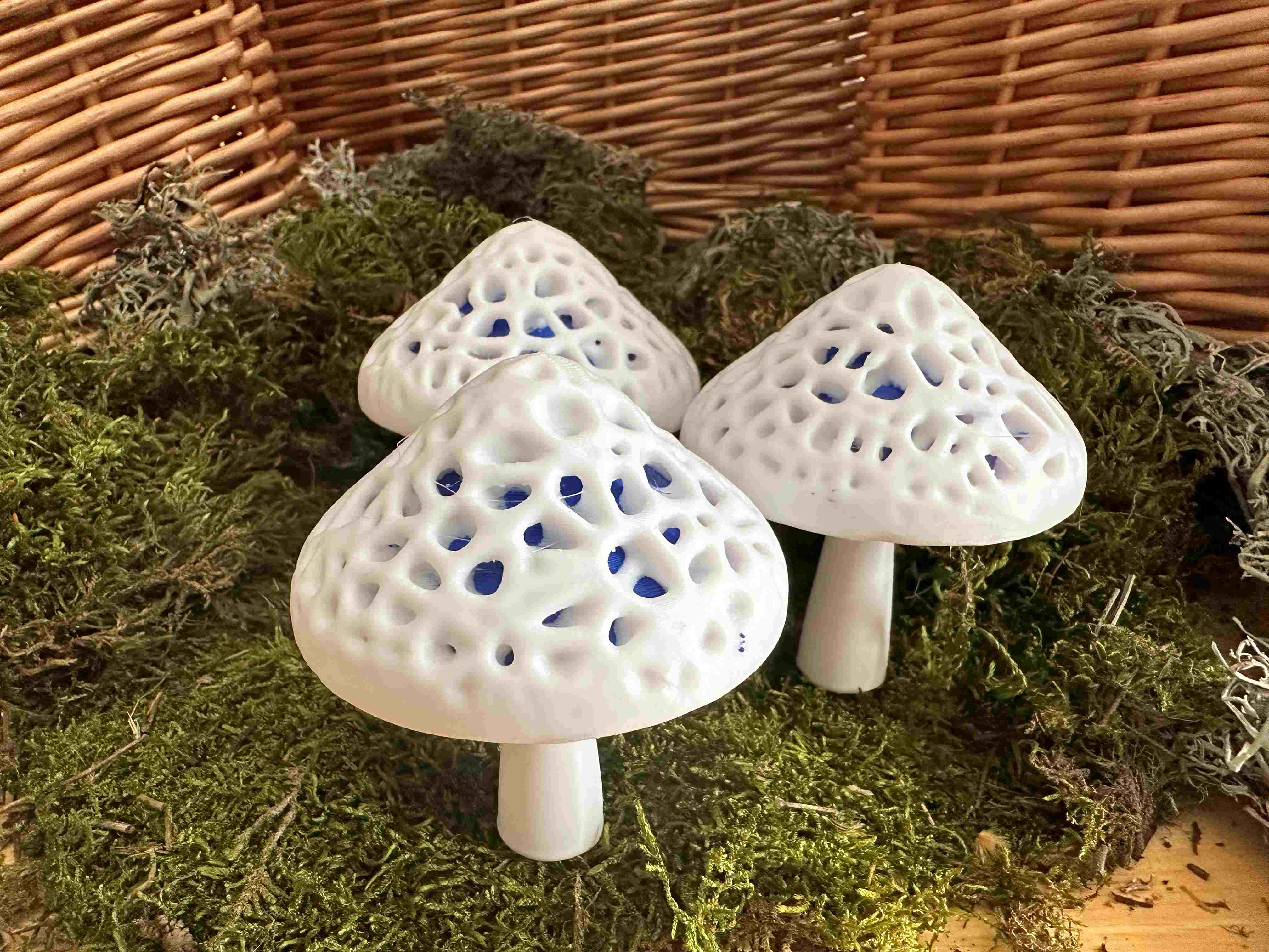 Dual Colour Modular Mushroom Caps (Stochastic)