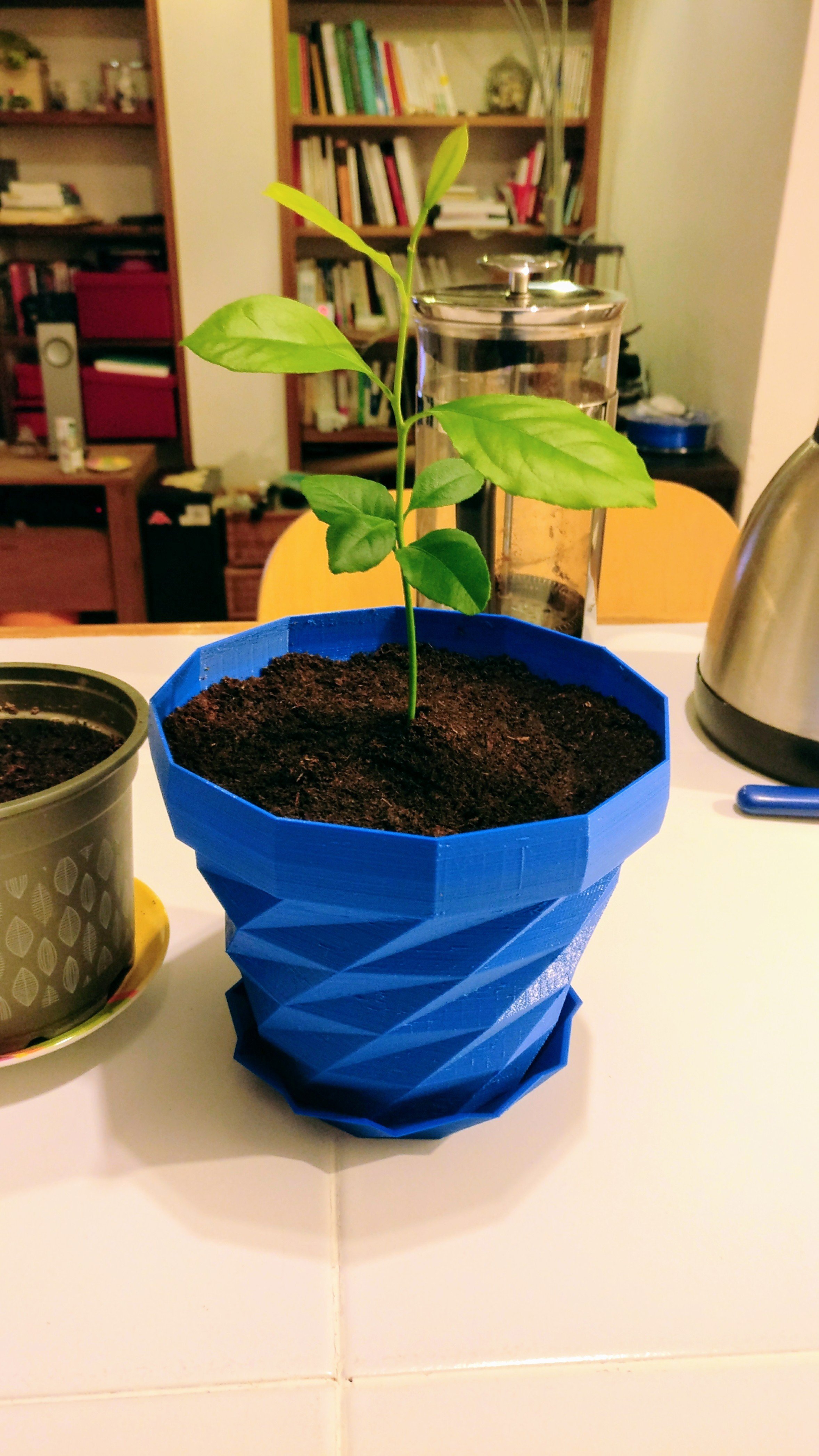 Triangulated flower pot coaster