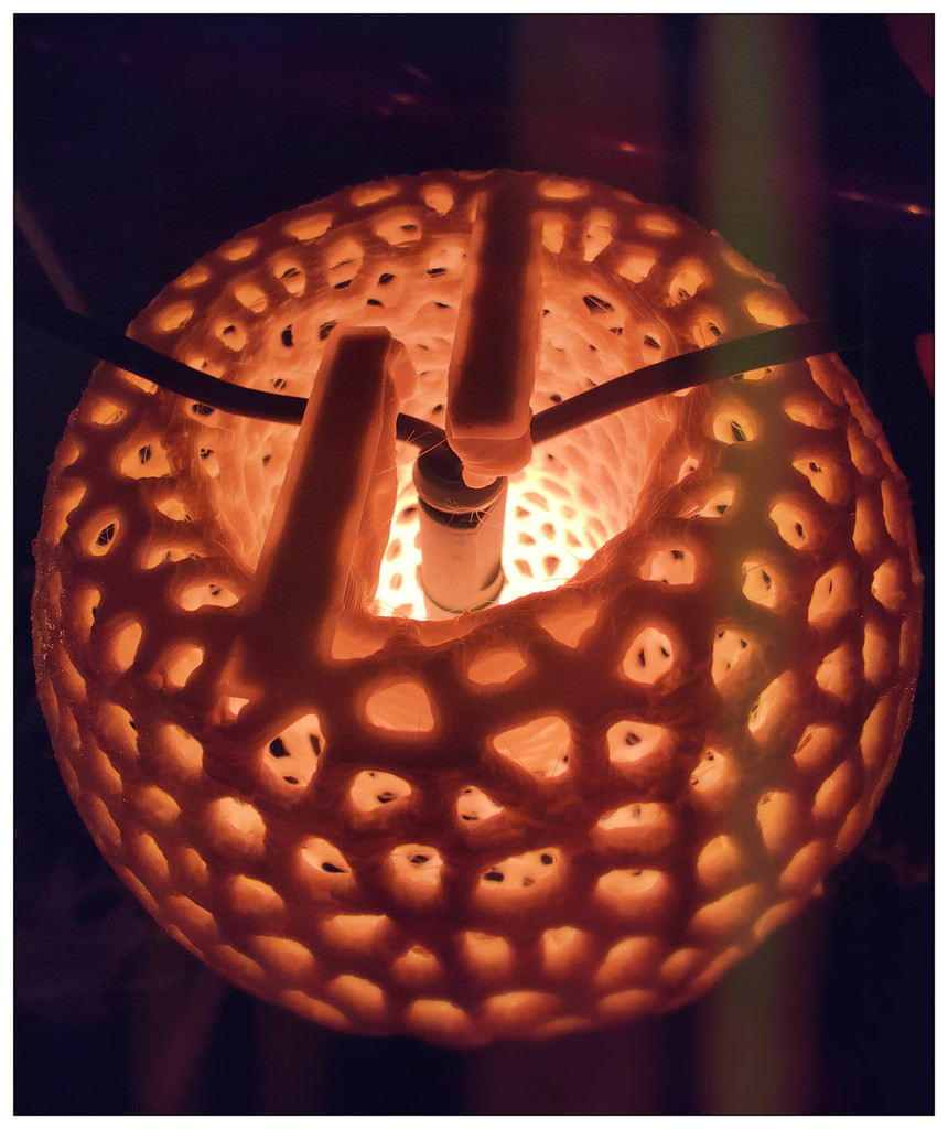 Lamp Led Shade Voronoi Style Omen