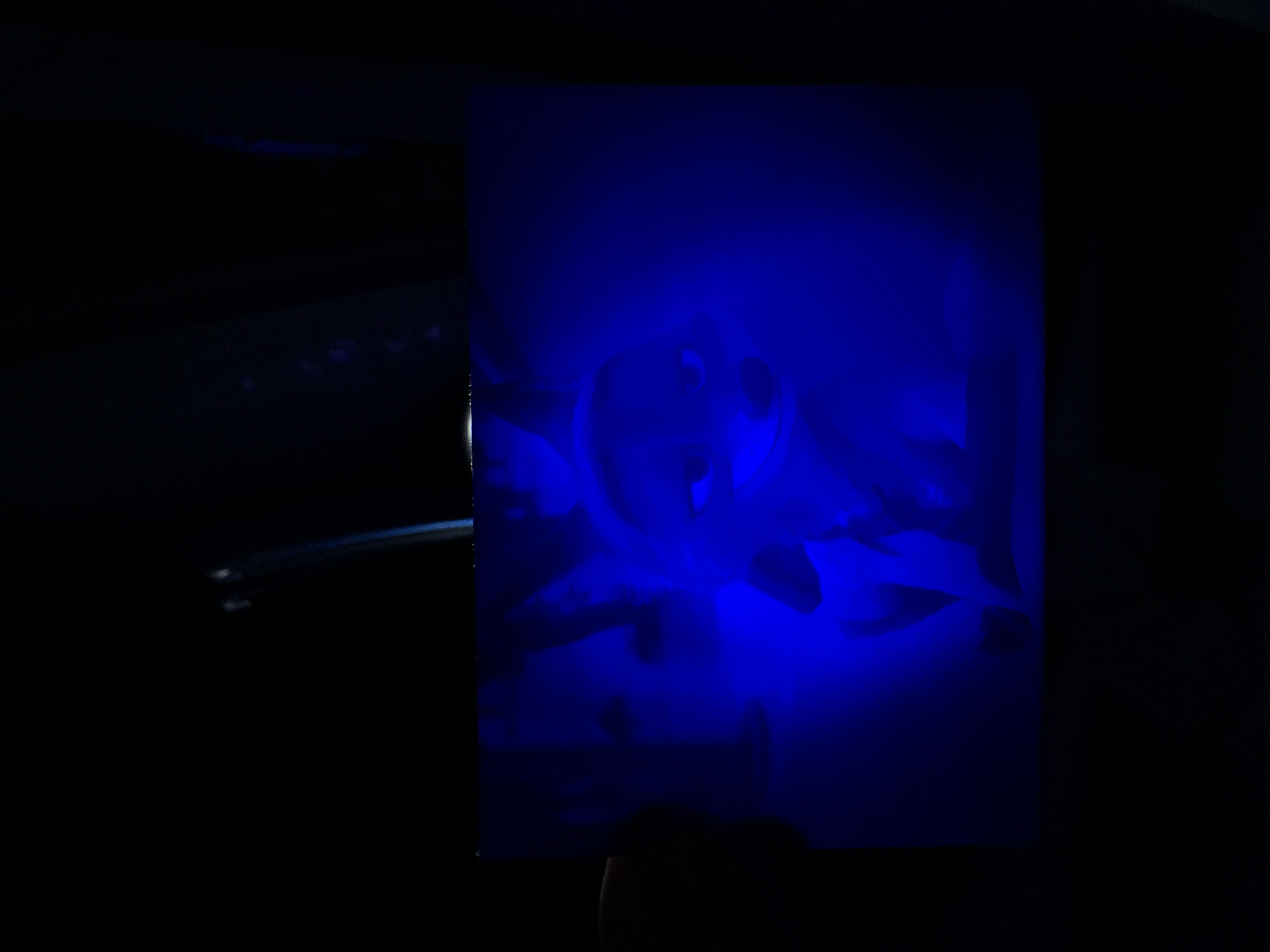 Zootopia Nick Wilde Lithophane