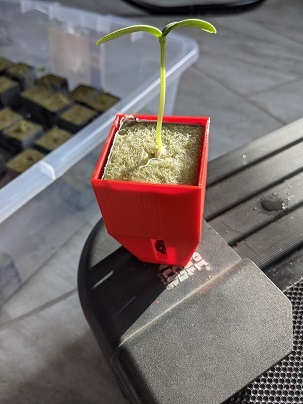 1.5" Rockwool Cube Plant Holder
